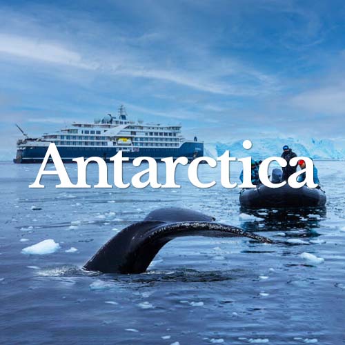 Antarctica Tour Packages
