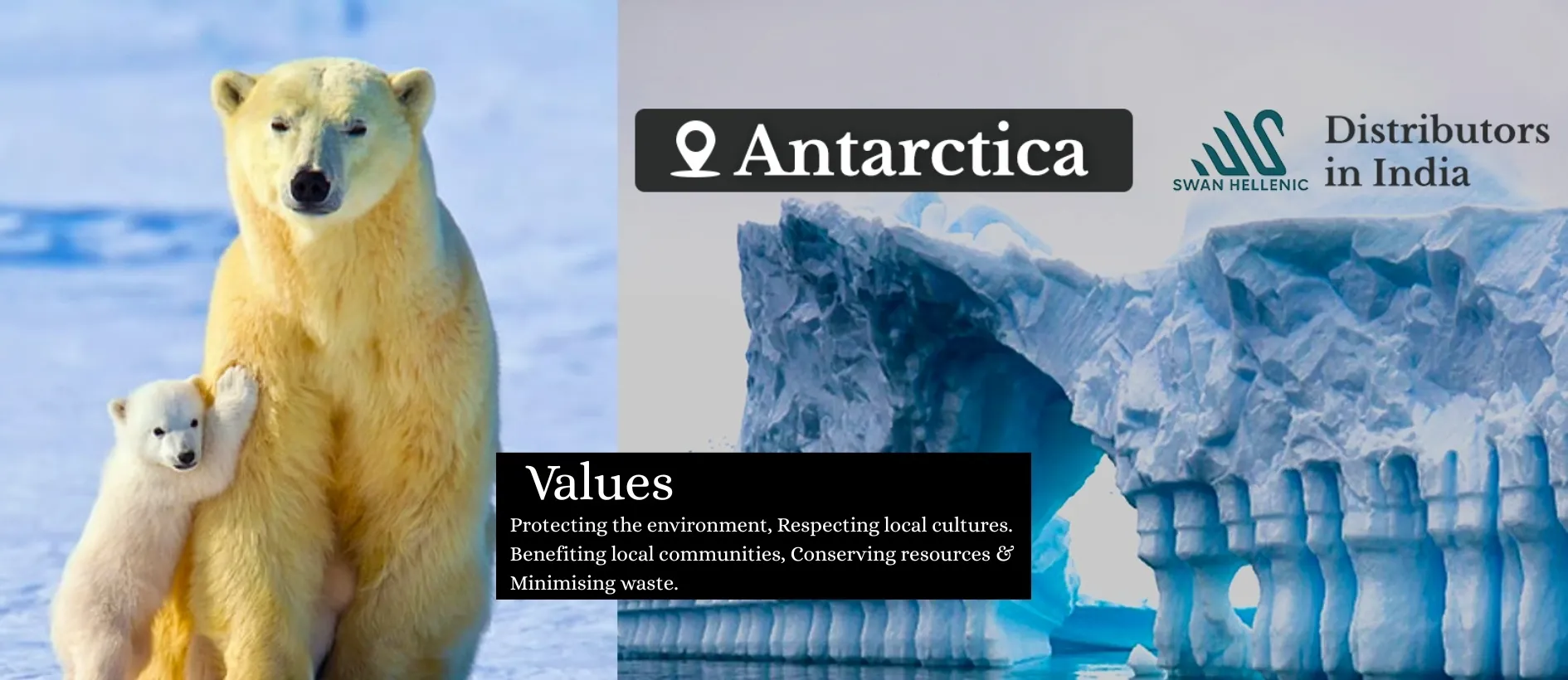 Holiday Moods Adventures 4 DMC For Antarctica