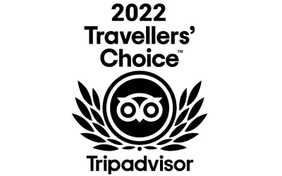Tripadvisor Travellers Choice Award Badge