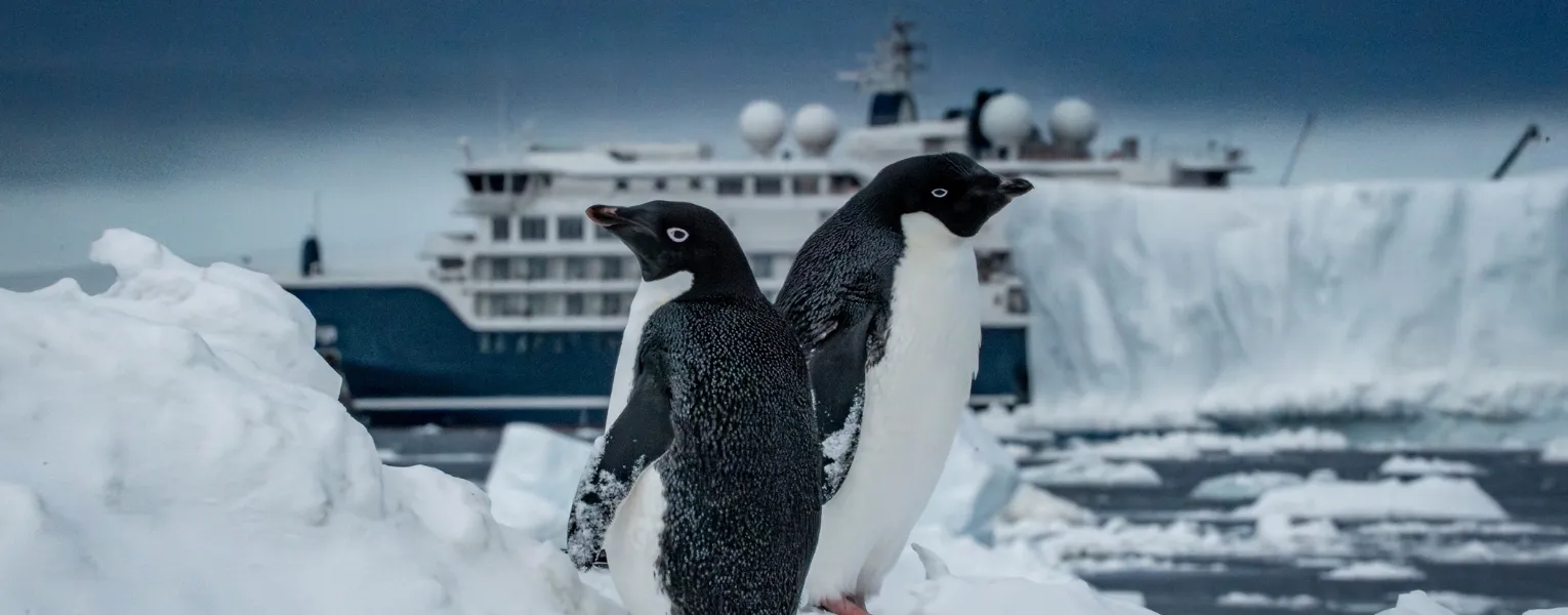 Swan Hellenic sailing near icebergs in Antarctica