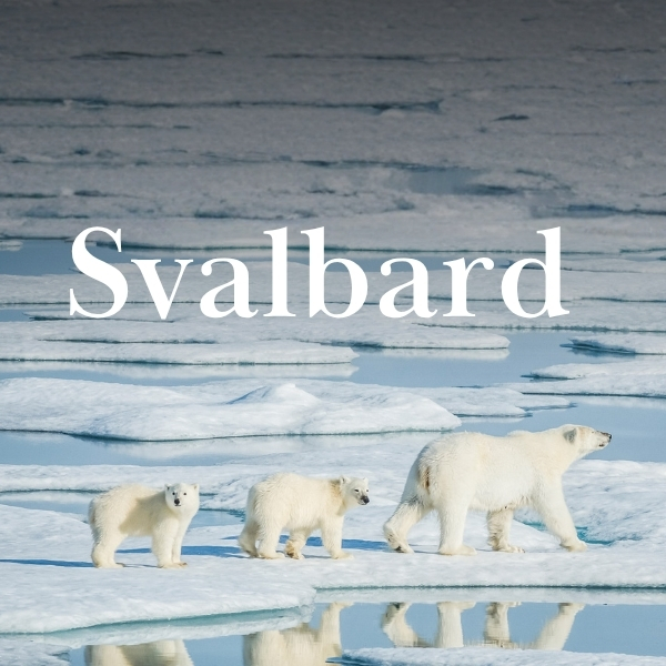 Svalbard Svalbard 3