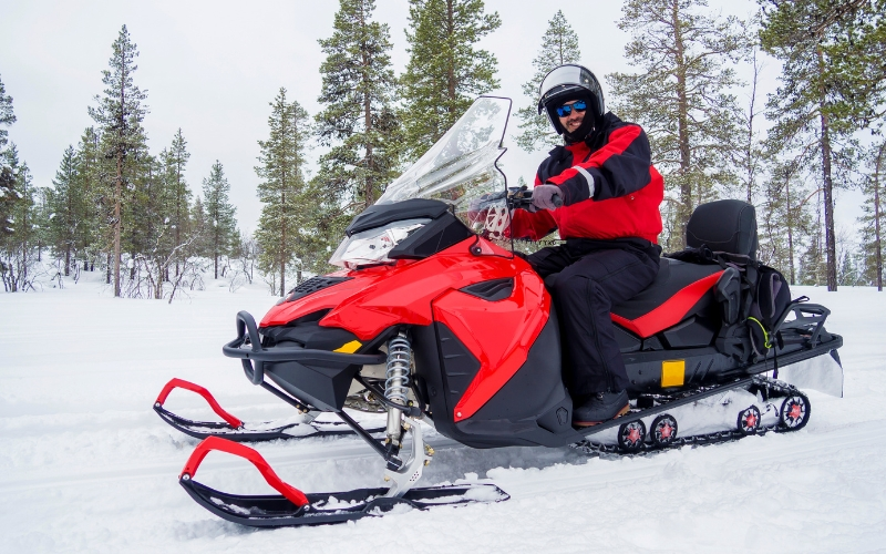 Snowmobile Safaris