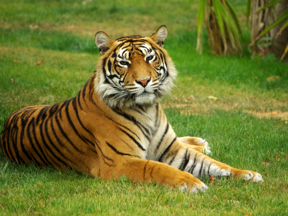 Madhya Pradesh Tours