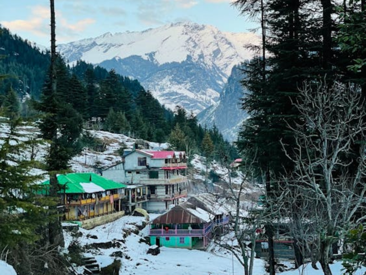 Manali & Shimla Tours