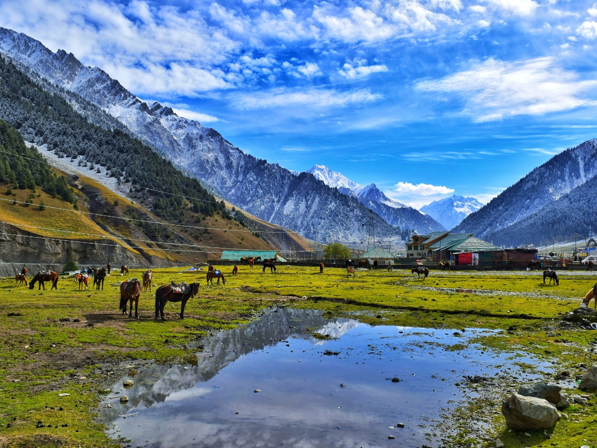 Jammu and Kashmir Tours