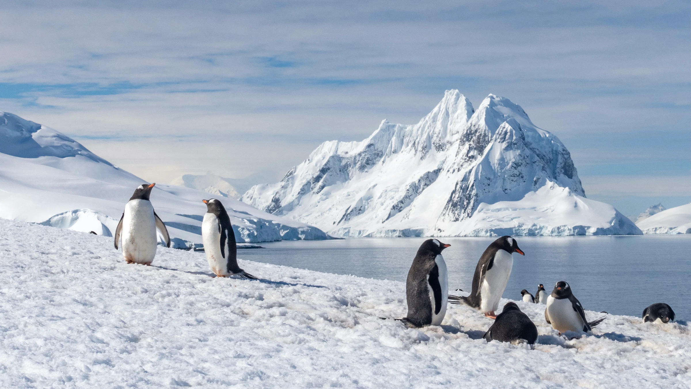 Expedition zodiac amidst massive Antarctic icebergs