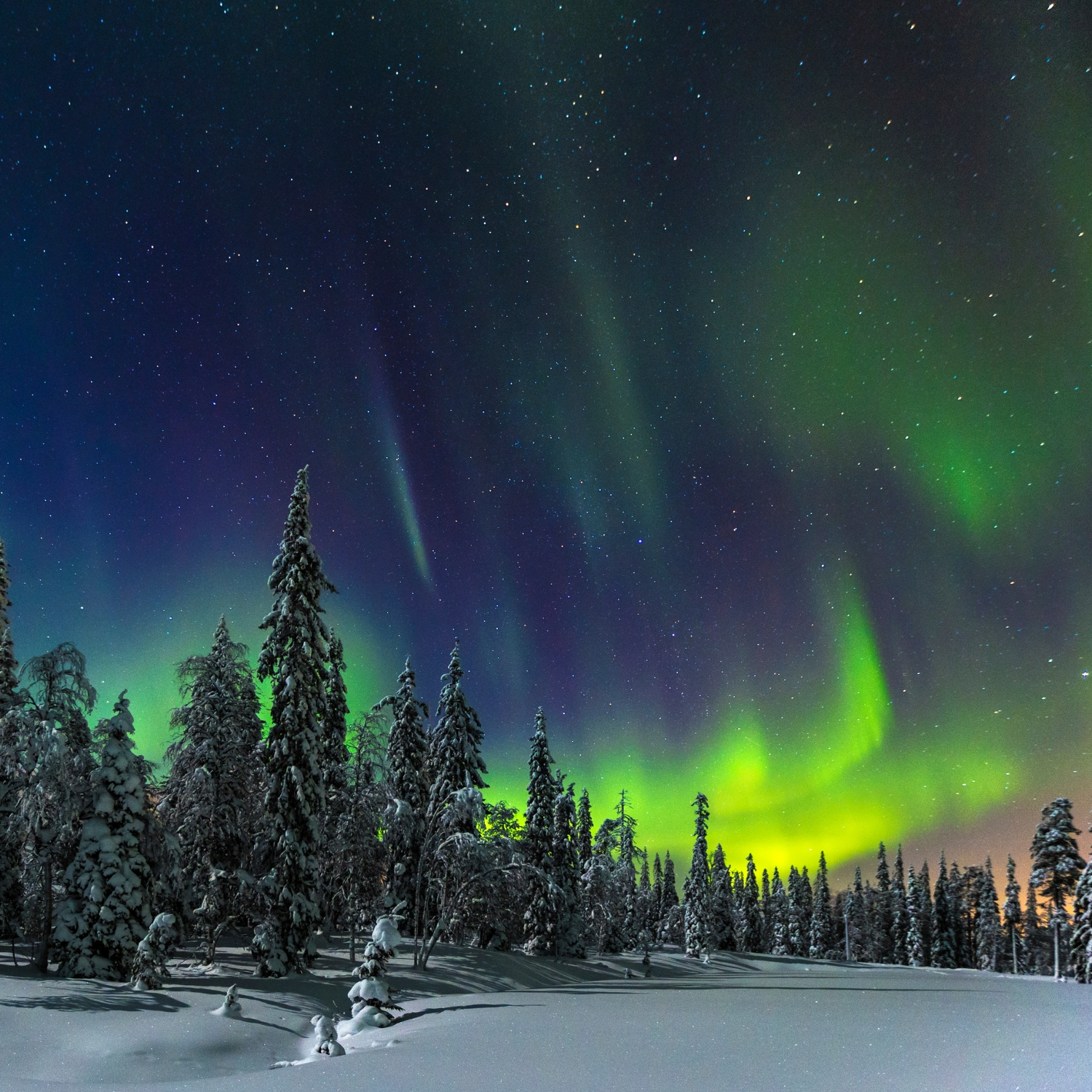 Finland Tour Packages from India